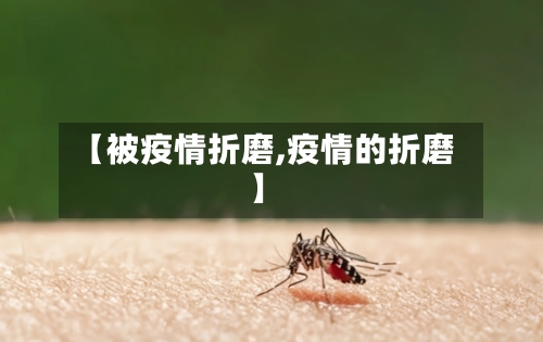 【被疫情折磨,疫情的折磨】