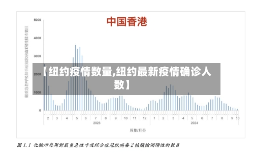【纽约疫情数量,纽约最新疫情确诊人数】