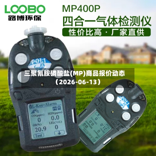 三聚氰胺磷酸盐(MP)商品报价动态（2026-06-13）