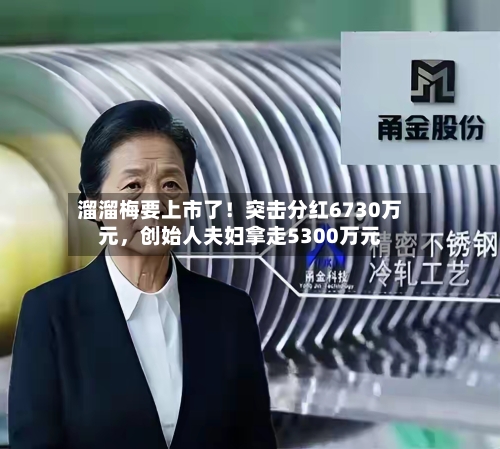 溜溜梅要上市了！突击分红6730万元，创始人夫妇拿走5300万元