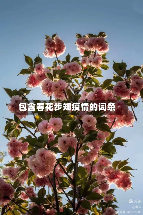 包含春花步知疫情的词条