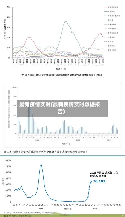 最新疫情实时(最新疫情实时数据报告)