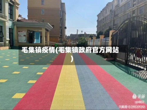 毛集镇疫情(毛集镇政府官方网站)