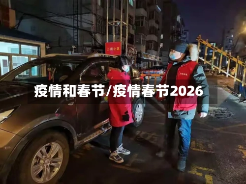 疫情和春节/疫情春节2026