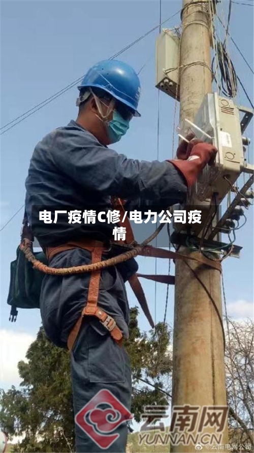 电厂疫情C修/电力公司疫情