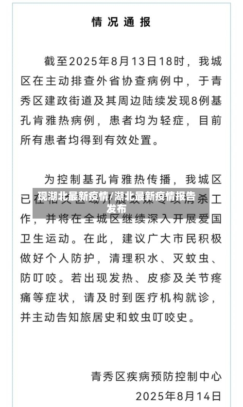 现湖北最新疫情/湖北最新疫情报告发布