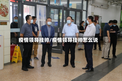 疫情领导挂帅/疫情领导挂帅怎么说
