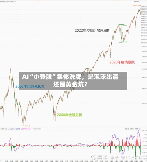 AI“小登股”集体洗牌，是泡沫出清还是黄金坑？