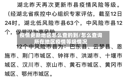 疫情更新地区怎么查的到/怎么查询所在地区疫情等级情况