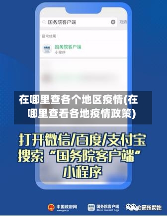 在哪里查各个地区疫情(在哪里查看各地疫情政策)