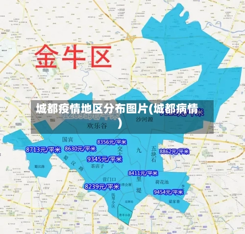 城都疫情地区分布图片(城都病情)
