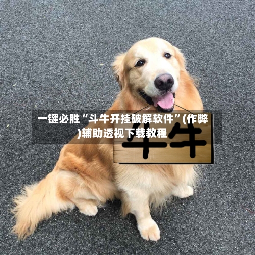 一键必胜“斗牛开挂破解软件”(作弊)辅助透视下载教程