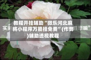 教程开挂辅助“微乐河北麻将小程序万能挂免费”(作弊)辅助透视教程