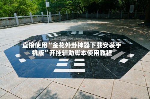 直接使用“金花外卦神器下载安装手机版”开挂辅助脚本使用教程