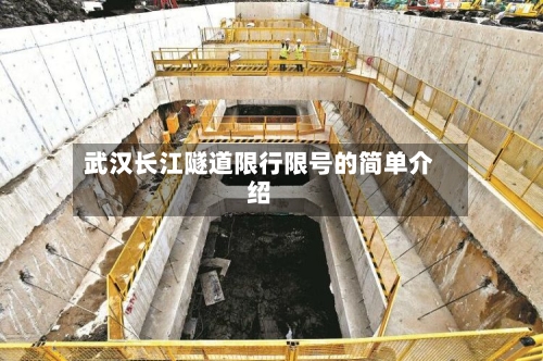 武汉长江隧道限行限号的简单介绍