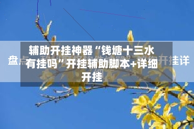 辅助开挂神器“钱塘十三水有挂吗”开挂辅助脚本+详细开挂