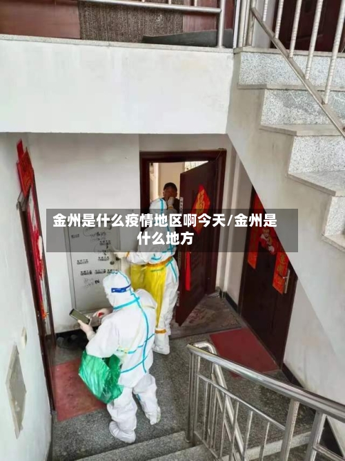 金州是什么疫情地区啊今天/金州是什么地方