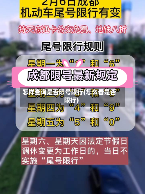 怎样查询是否限号限行(怎么看是否限行)