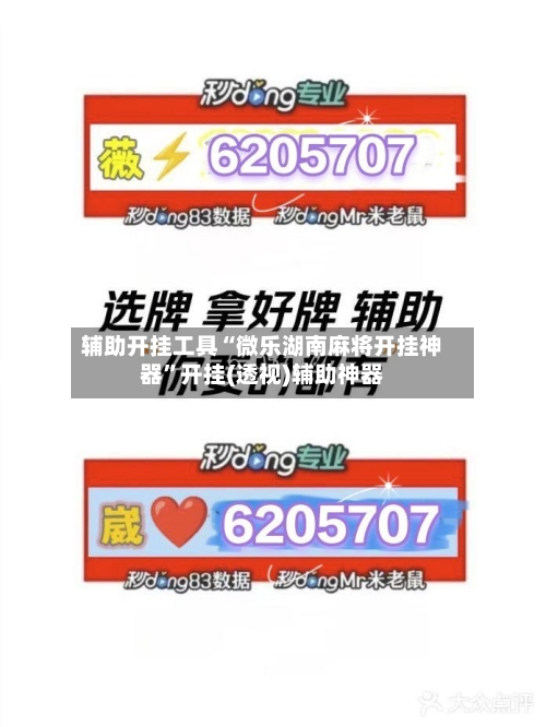 辅助开挂工具“微乐湖南麻将开挂神器”开挂(透视)辅助神器