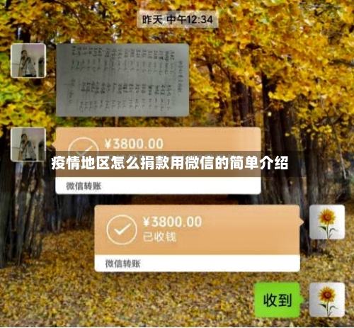 疫情地区怎么捐款用微信的简单介绍