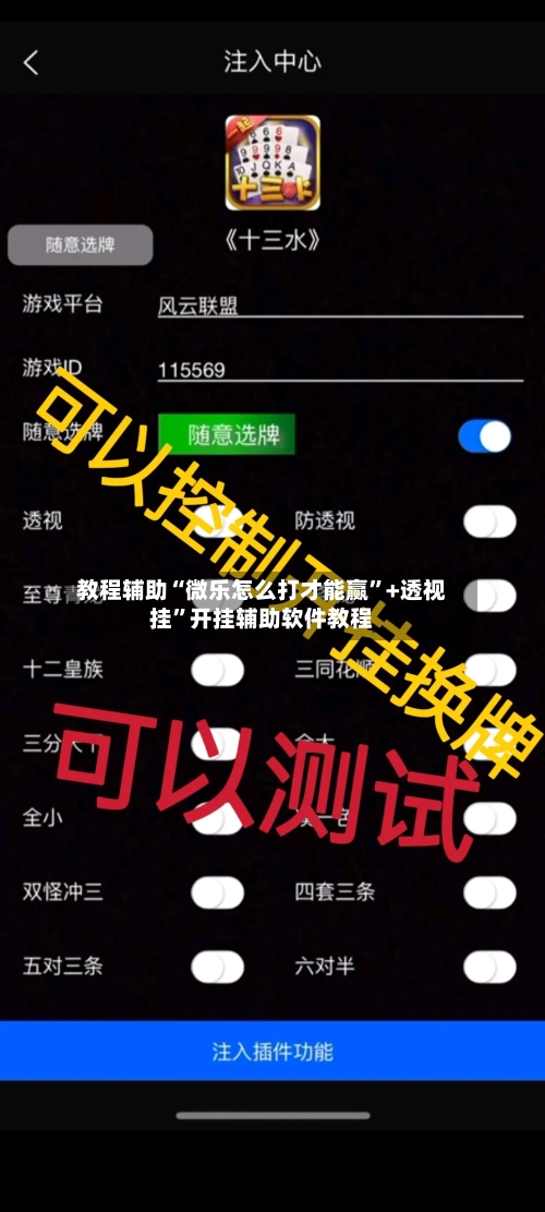教程辅助“微乐怎么打才能赢”+透视挂”开挂辅助软件教程