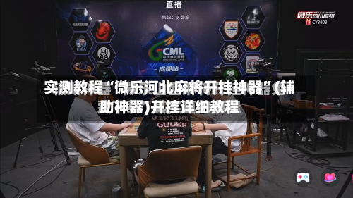 实测教程“微乐河北麻将开挂神器”(辅助神器)开挂详细教程