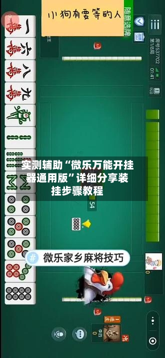 实测辅助“微乐万能开挂器通用版”详细分享装挂步骤教程