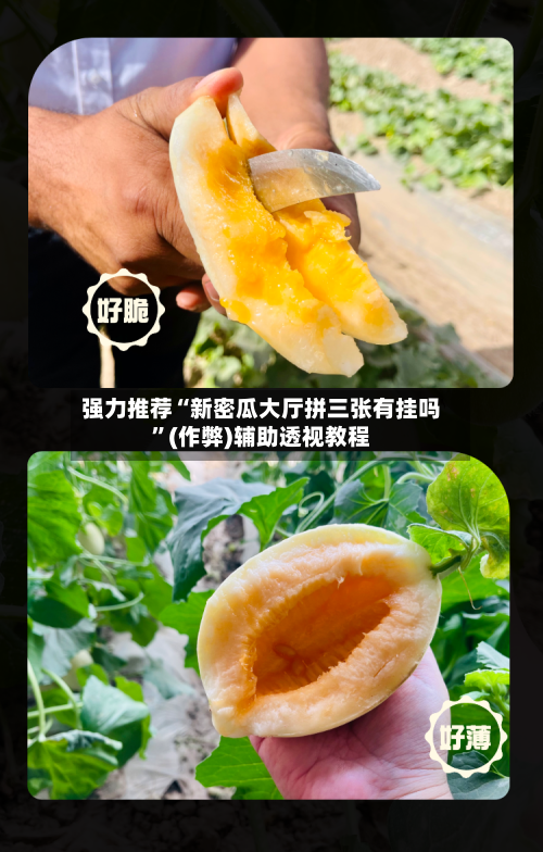 强力推荐“新密瓜大厅拼三张有挂吗”(作弊)辅助透视教程