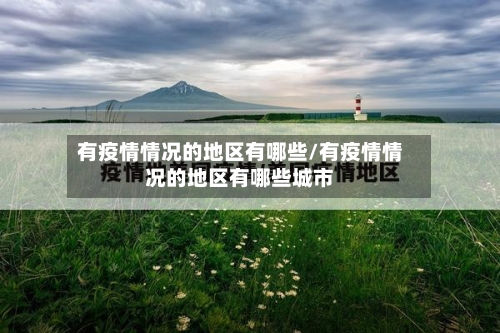 有疫情情况的地区有哪些/有疫情情况的地区有哪些城市