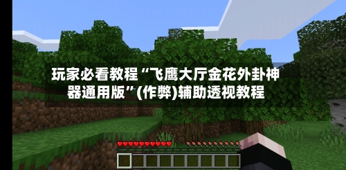 玩家必看教程“飞鹰大厅金花外卦神器通用版”(作弊)辅助透视教程