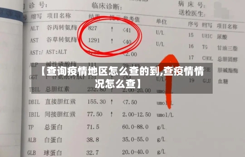 【查询疫情地区怎么查的到,查疫情情况怎么查】