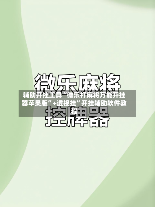 辅助开挂工具“微乐打麻将万能开挂器苹果版”+透视挂”开挂辅助软件教程