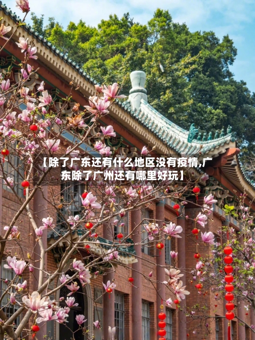 【除了广东还有什么地区没有疫情,广东除了广州还有哪里好玩】