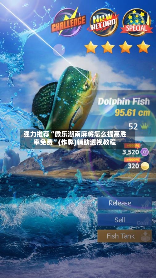 强力推荐“微乐湖南麻将怎么提高胜率免费”(作弊)辅助透视教程