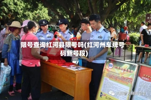限号查询红河县限号吗(红河州车牌号码新号段)