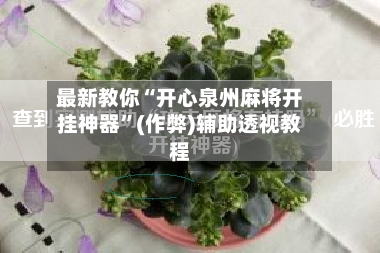 最新教你“开心泉州麻将开挂神器”(作弊)辅助透视教程