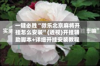 一键必胜“微乐北京麻将开挂怎么安装”(透视)开挂辅助脚本+详细开挂安装教程