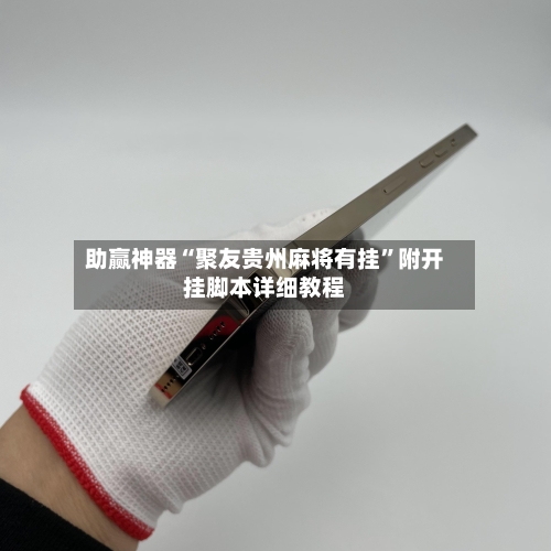 助赢神器“聚友贵州麻将有挂”附开挂脚本详细教程