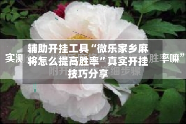 辅助开挂工具“微乐家乡麻将怎么提高胜率”真实开挂技巧分享