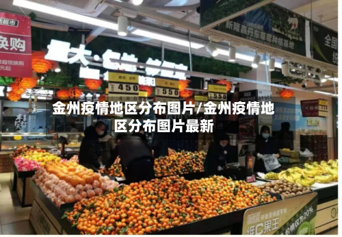 金州疫情地区分布图片/金州疫情地区分布图片最新