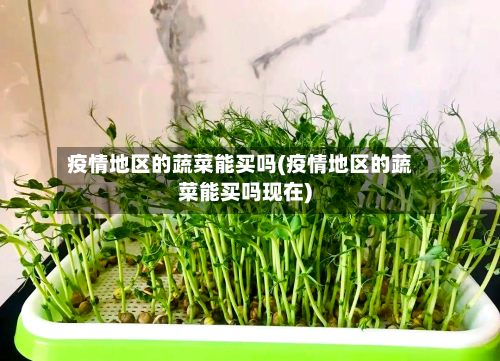 疫情地区的蔬菜能买吗(疫情地区的蔬菜能买吗现在)
