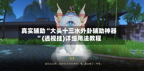 真实辅助“大头十三水外卦辅助神器”(透视挂)详细用法教程