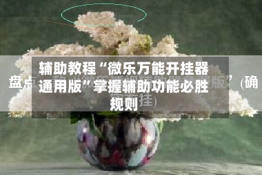 辅助教程“微乐万能开挂器通用版”掌握辅助功能必胜规则