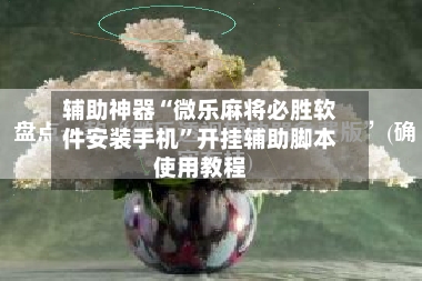 辅助神器“微乐麻将必胜软件安装手机”开挂辅助脚本使用教程