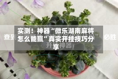 实测！神器“微乐湖南麻将怎么能赢”真实开挂技巧分享