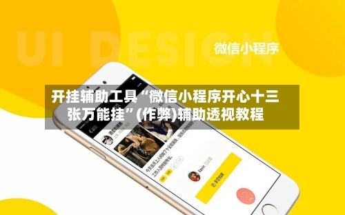 开挂辅助工具“微信小程序开心十三张万能挂”(作弊)辅助透视教程