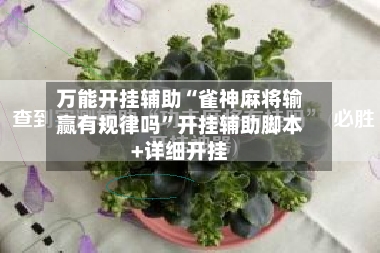 万能开挂辅助“雀神麻将输赢有规律吗”开挂辅助脚本+详细开挂