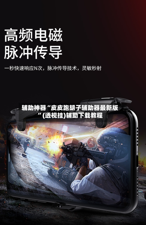 辅助神器“皮皮跑胡子辅助器最新版”(透视挂)辅助下载教程
