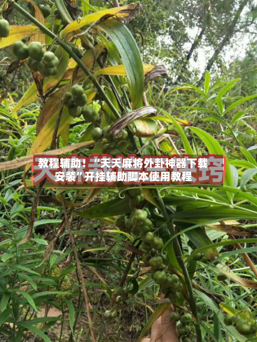 教程辅助！“天天麻将外卦神器下载安装”开挂辅助脚本使用教程