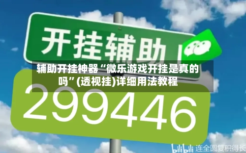 辅助开挂神器“微乐游戏开挂是真的吗”(透视挂)详细用法教程